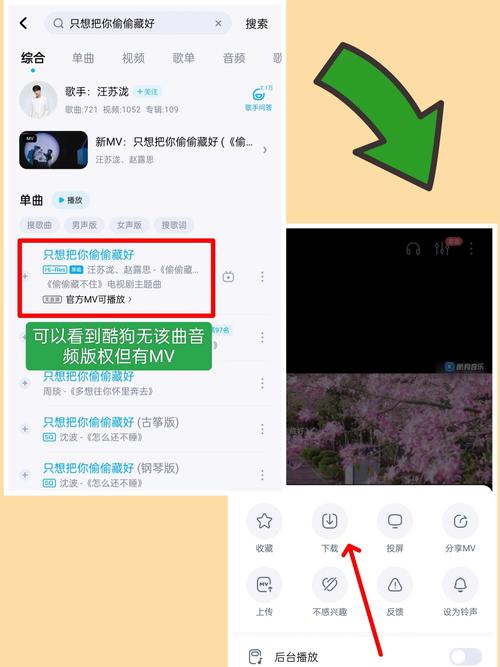 酷狗怎么打开信息(酷狗信息怎么设置)