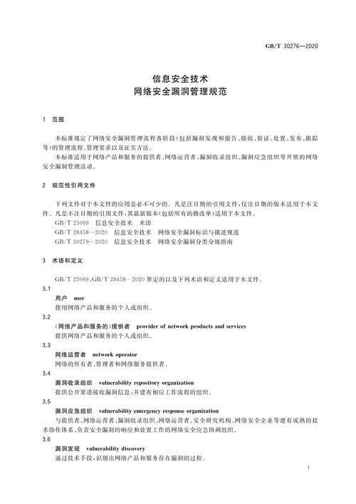 信息类漏洞什么意思(信息类漏洞什么意思啊)