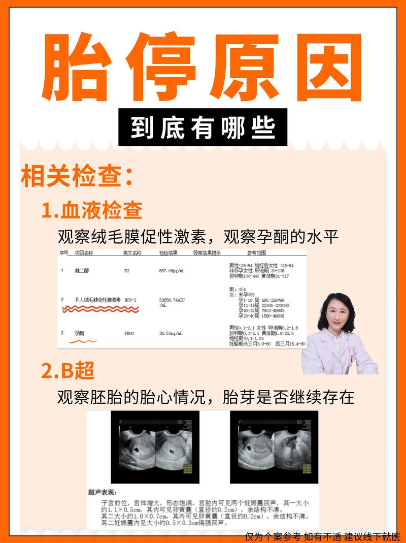 胚胎为什么会停止发育(胚胎为什么会停止发育需要检查什么)-第1张图片-天汇百科网 胚胎为什么会停止发育(胚胎为什么会停止发育需要检查什么)-第1张图片-天汇百科网