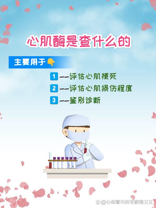 心肌酶怎么检查(心肌酶怎么检查抽血吗要空腹吗)-第1张图片-天汇百科网 心肌酶怎么检查(心肌酶怎么检查抽血吗要空腹吗)-第1张图片-天汇百科网