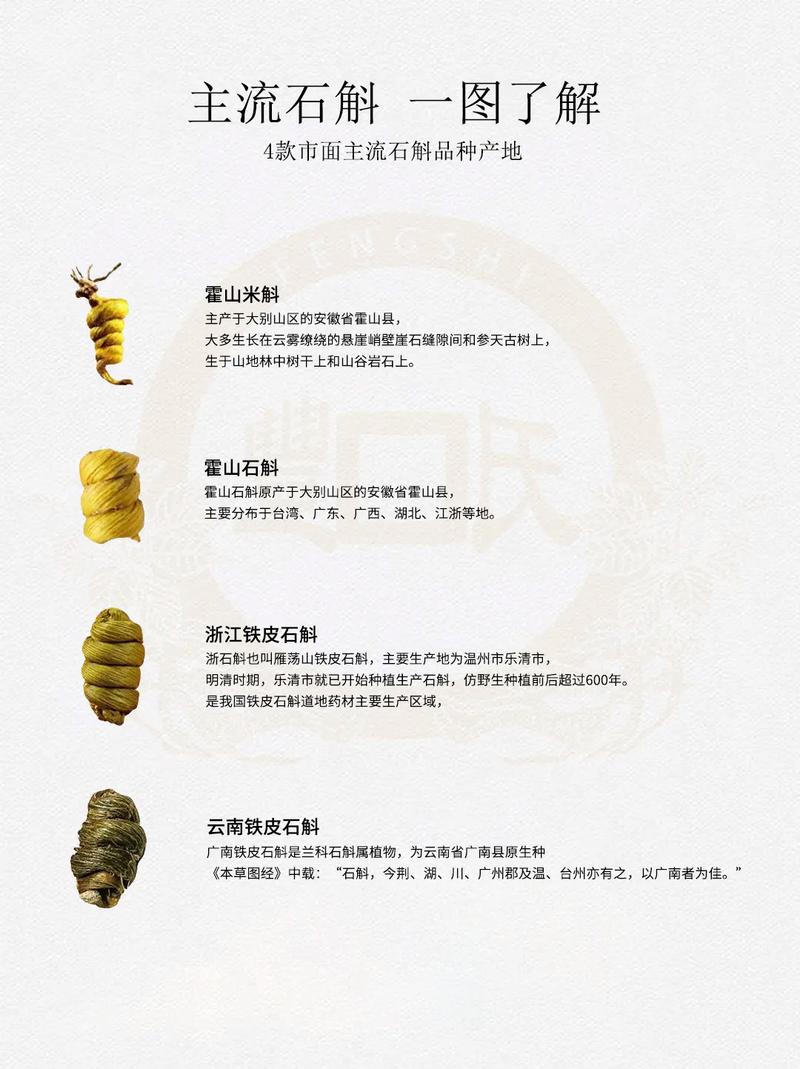 石斛的品种有哪些(石斛的品种有哪些名称)-第1张图片-天汇百科网 石斛的品种有哪些(石斛的品种有哪些名称)-第1张图片-天汇百科网