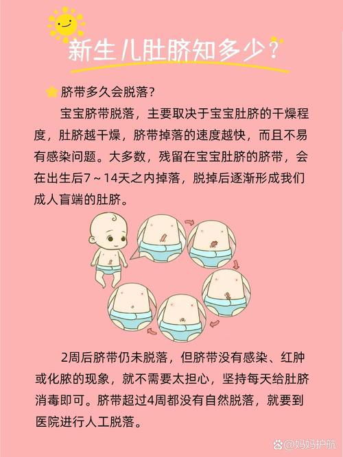新生儿脐带多久掉(新生儿脐带多久脱落)-第1张图片-天汇百科网 新生儿脐带多久掉(新生儿脐带多久脱落)-第1张图片-天汇百科网