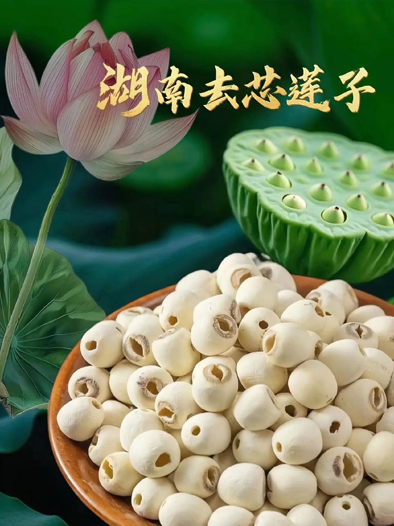 莲子为什么煮不烂(莲子为啥煮很久都不软)
