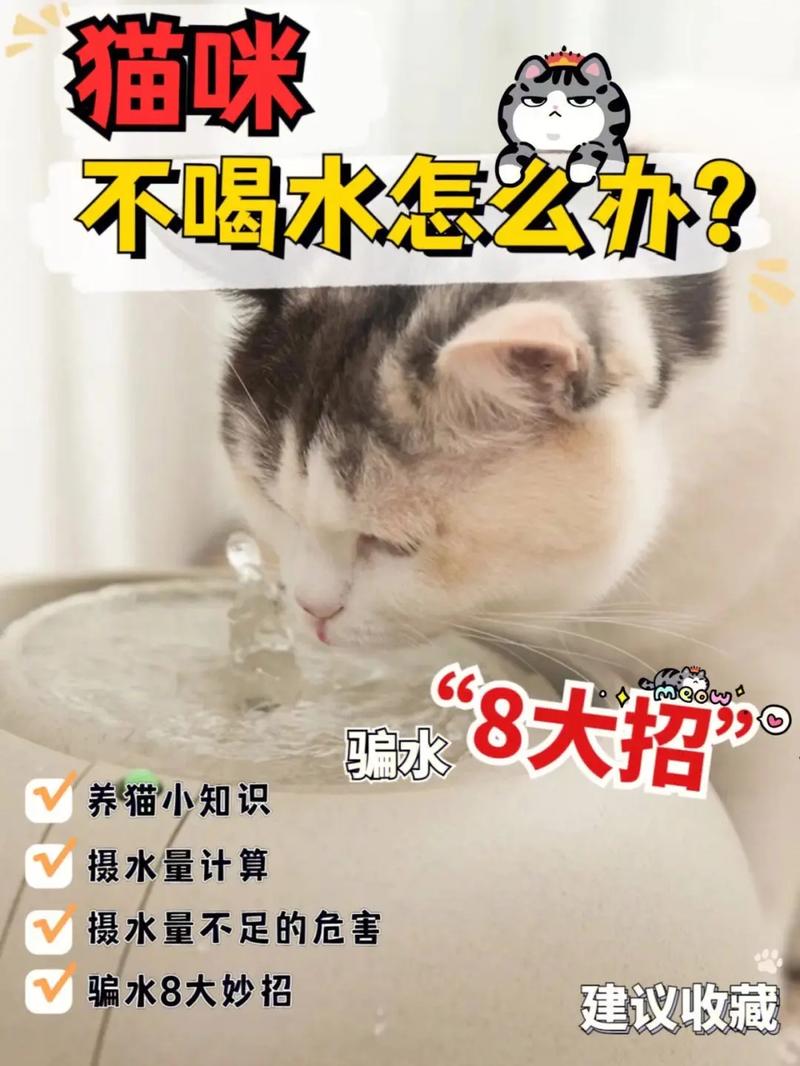 猫可以多久不喝水(猫可以多久不喝水会死)