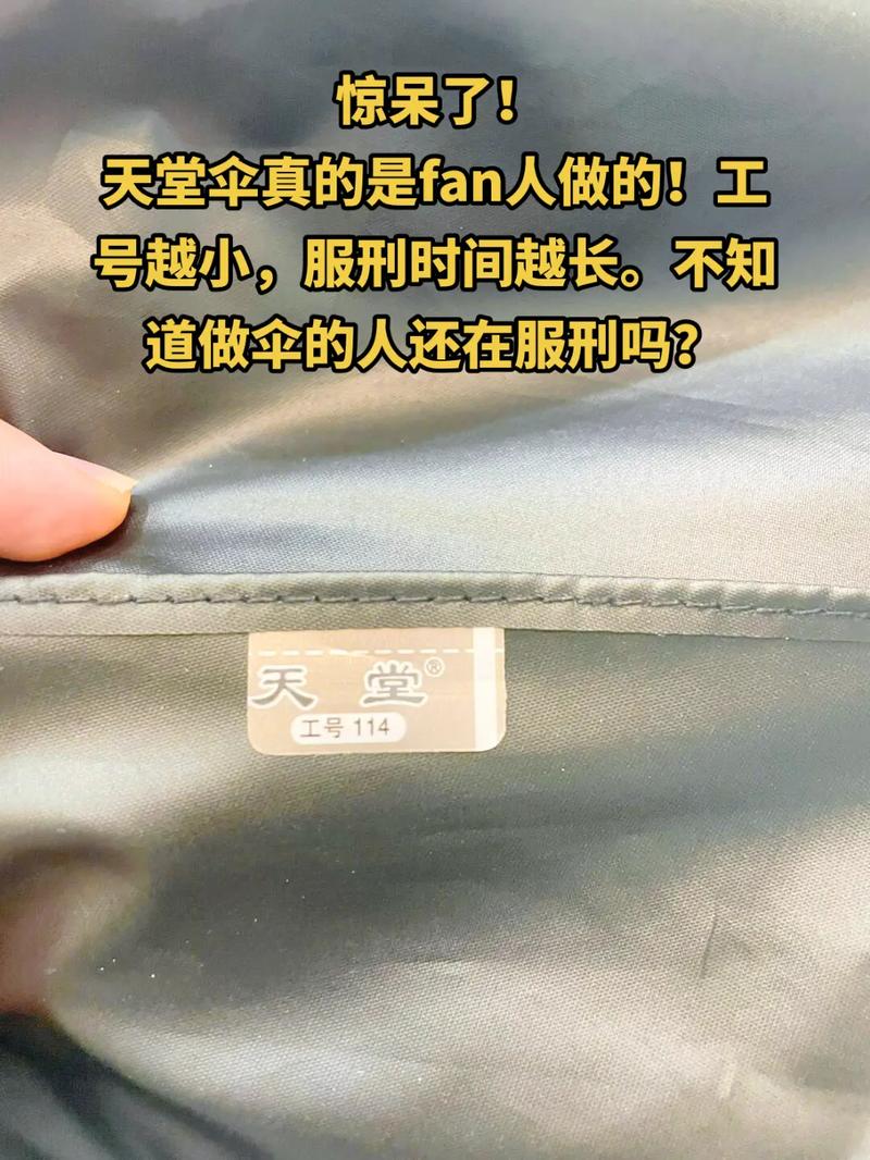 天堂伞为什么叫天堂(天堂伞为什么叫天堂伞老人听着不舒服)-第1张图片-天汇百科网 天堂伞为什么叫天堂(天堂伞为什么叫天堂伞老人听着不舒服)-第1张图片-天汇百科网