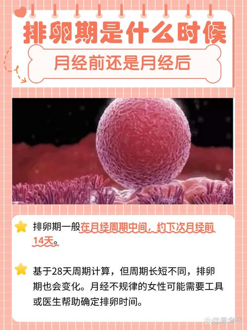 剖腹产多久排卵(剖腹产多久排卵期)