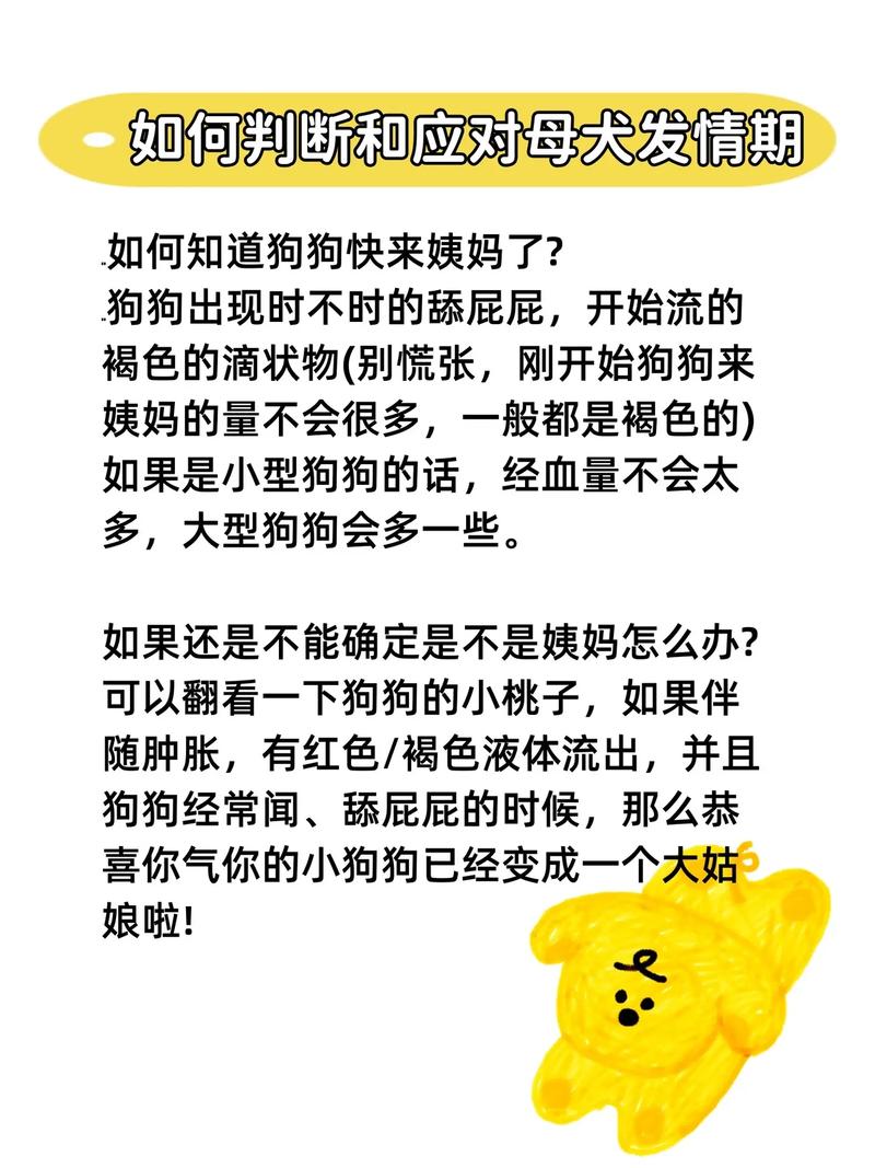 狗狗大姨妈多久(狗狗大姨妈多久来一次)