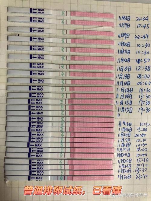 排卵强阳转弱多久排卵(排卵强阳转弱多久排卵图片)-第1张图片-天汇百科网 排卵强阳转弱多久排卵(排卵强阳转弱多久排卵图片)-第1张图片-天汇百科网