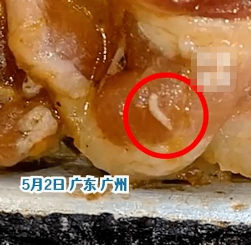 吃了活蛆会怎么样(吃了活蛆怎么办)-第1张图片-天汇百科网 吃了活蛆会怎么样(吃了活蛆怎么办)-第1张图片-天汇百科网