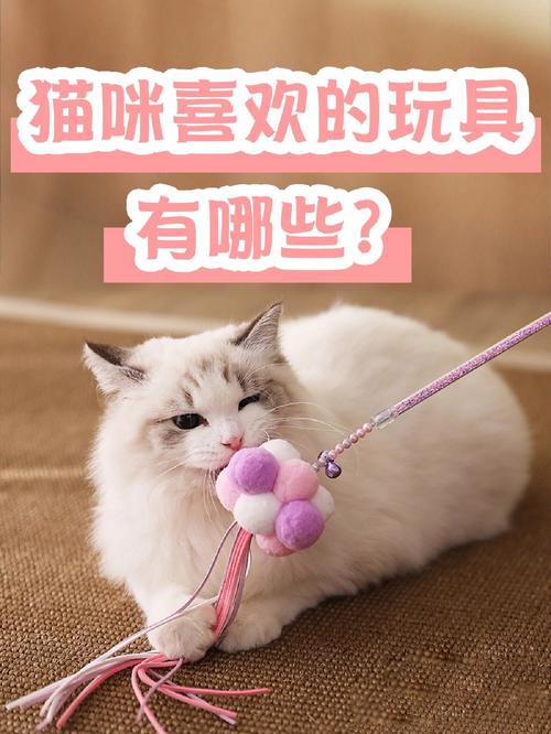 猫咪的玩具有哪些(猫有什么好玩的玩具)