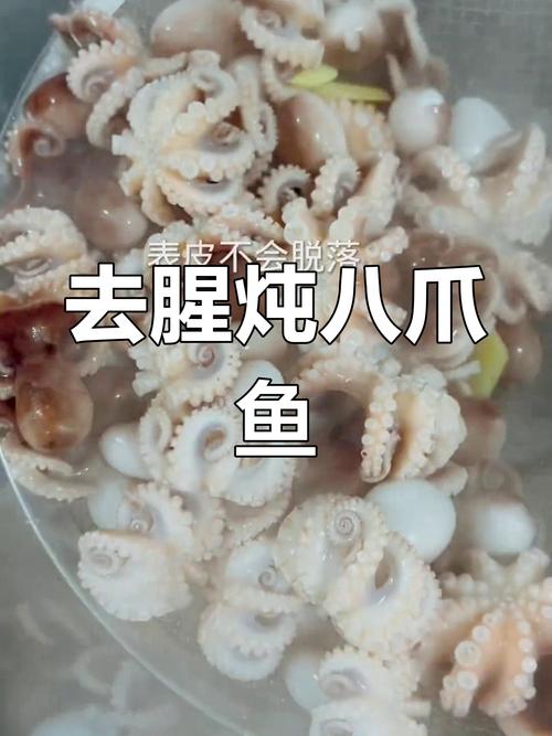 小八爪鱼煮多久(八爪鱼怎么煮好吃又嫩)