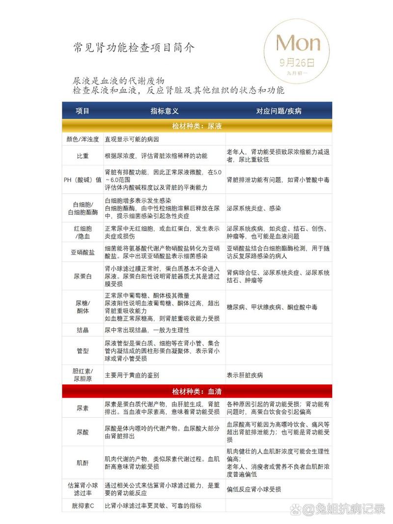 肾功能项目有哪些(肾功能项目有哪些项目)-第1张图片-天汇百科网 肾功能项目有哪些(肾功能项目有哪些项目)-第1张图片-天汇百科网