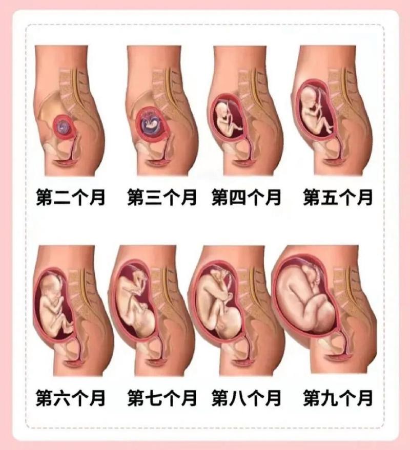 引产后多久能怀孕(三个月引产后多久可以再怀孕)