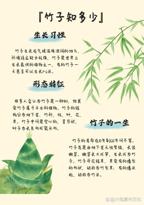 竹子为什么是空心的(竹子为什么是空心的材料力学)-第1张图片-天汇百科网 竹子为什么是空心的(竹子为什么是空心的材料力学)-第1张图片-天汇百科网