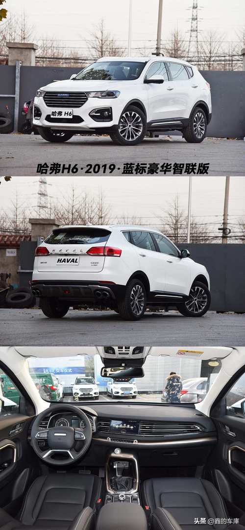 虎5和h6哪个好(哈弗h6和虎8)