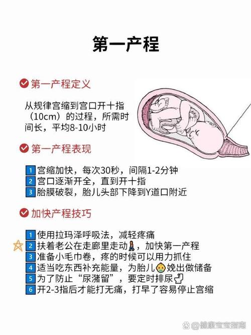 顺产一般要多久(初产妇顺产一般要多久)-第1张图片-天汇百科网 顺产一般要多久(初产妇顺产一般要多久)-第1张图片-天汇百科网