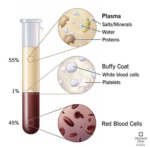 blood怎么读(999999999亿英语怎么读)