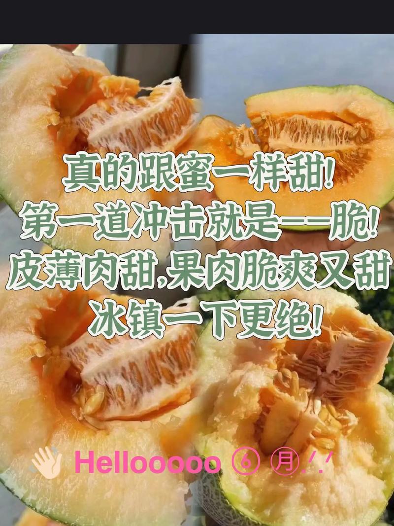 哈密瓜为什么叫哈密瓜(哈密瓜为什么叫哈密瓜脑筋急转弯)