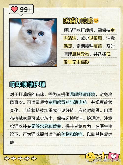 猫打喷嚏是怎么回事(猫咪打喷嚏怎么办)-第1张图片-天汇百科网 猫打喷嚏是怎么回事(猫咪打喷嚏怎么办)-第1张图片-天汇百科网