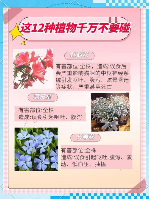 哪些植物不能进阶(哪些植物不能进阶种子)
