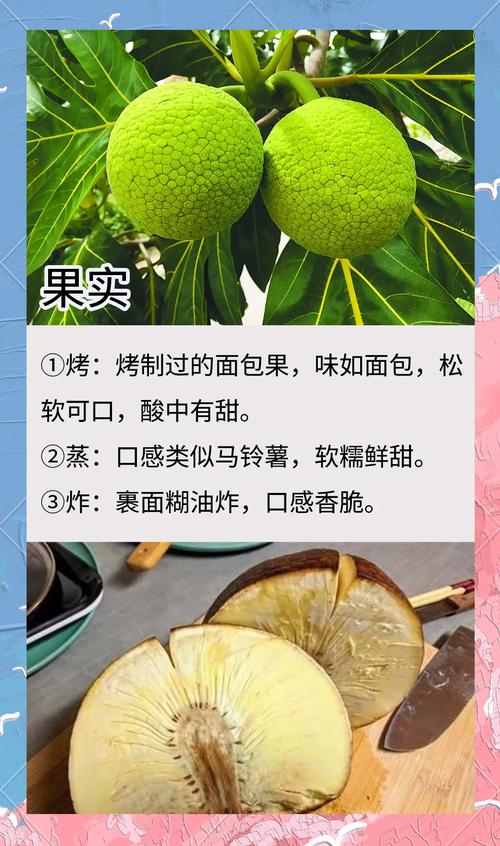 奇迹 果实怎么吃(mu奇迹果实最多可以吃多少)